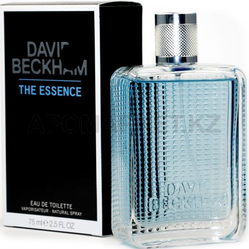 David Beckham The Essence