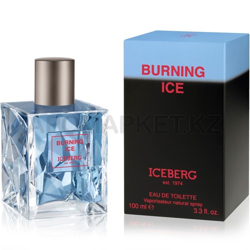 Iceberg Burning Ice