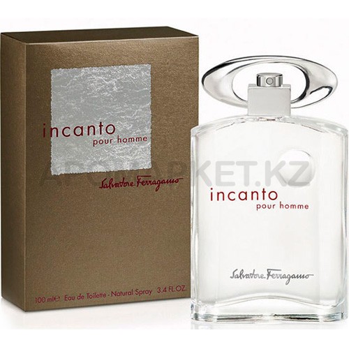 Salvatore Ferragamo Incanto pour Homme