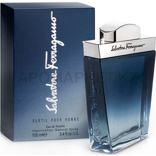 Salvatore Ferragamo Subtil pour Homme